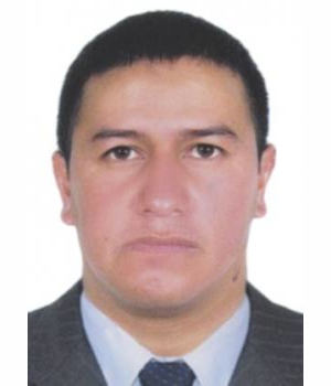 DONILLY WILLY ALVAREZ ARCE