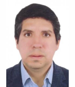 ELMER GUILLERMO ARCE ORTIZ