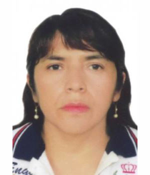 ELVA FILOMENA DIONISIO INGA