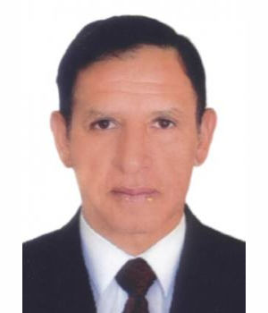 HUBER ANGEL FUENTES BERNEDO