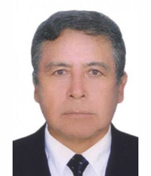 JULIO VOLODIA MENDOZA APARICIO