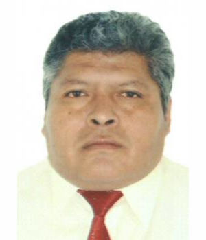 NESTOR ARMANDO PARI GONZALES