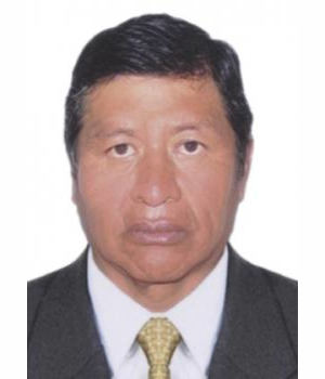 RAUL AUGUSTO LEON MACHACA CAYO