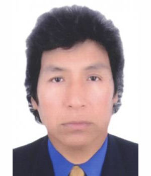 WINDER WILFREDO TURPO HUISA