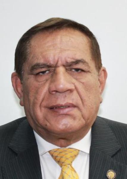 Candidato EDGAR DAVID VILLANUEVA NUÑEZ
