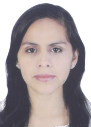 Candidato IRINA NATHALY CASTILLO VELASQUEZ