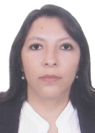 Candidato KARINA JUDITH CABALLERO AGÜERO