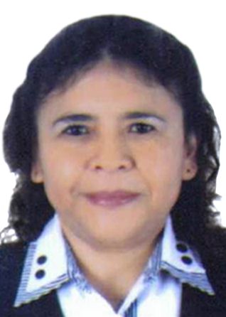 Daisy Viviana Guzman Rojas