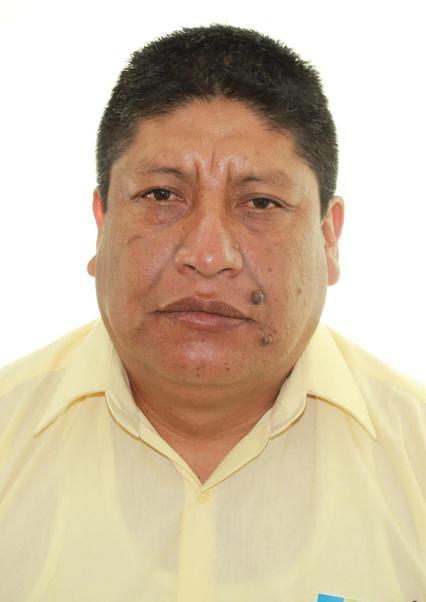 Dionel Julian Alvarado Castillo
