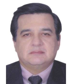 ELVIS DAVID DELGADO BACIGALUPI