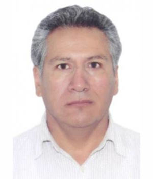 ABEL GRIMER BULNES ROJAS