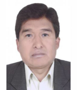 ALVARO PERALTA TURPO