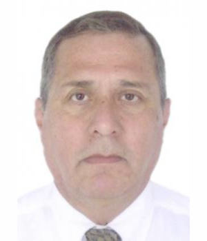 AMERICO HUMBERTO DEL PINO CARCAMO