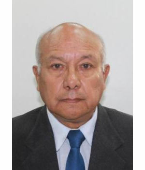 ARTURO JULIAN GONZALES MATTOS