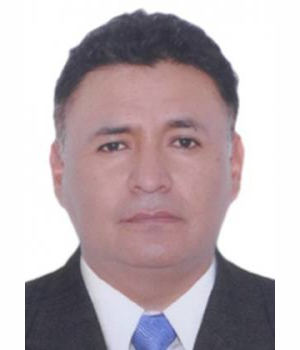 BERNARDED HUBERT GONZALES ZENTENO