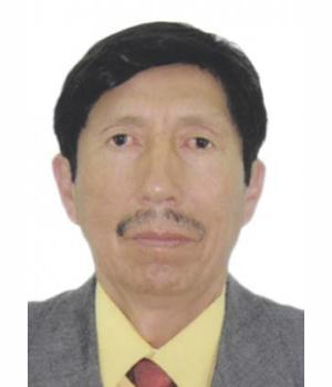 CARLOS ANTONIO CARPIO MAMANI	
