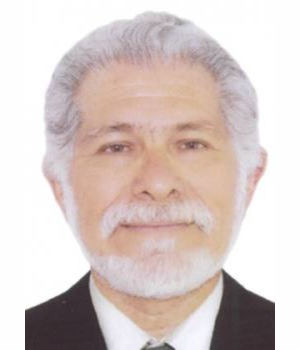 CARLOS MAXIMO CHAMOCHUMBI BARRUETO