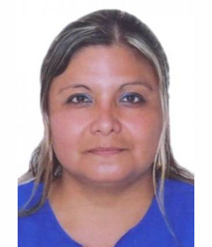 CARMEN ROSA VILLALOBOS GALLARDO
