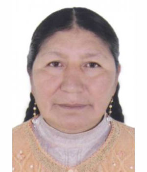 CERAFINA VILCA MEDINA