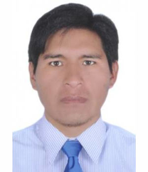 DAVID CONDORI HUARACHA