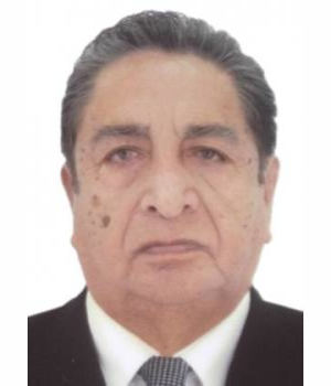 DAVID EDMUNDO GARCIA GARCIA