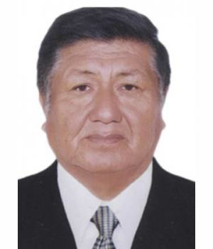 DAVID SANTOS INOFUENTE MAMANI