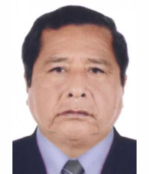 DAVID VILLAIZAN TARAZONA
