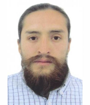 DOMINGO GUZMAN PIMENTEL SIFUENTES