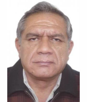 EDGAR DAVID VILLANUEVA NUÑEZ