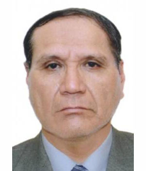 ELMER YUBINO URIOL VELA