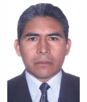 ELVIS RENZO REVILLA LLERENA