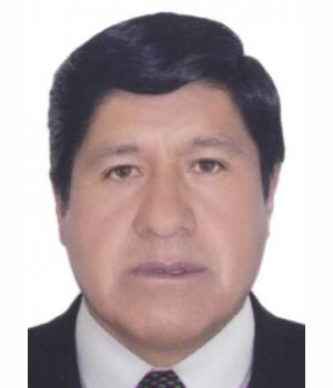 FABIO VARGAS HUAMANTUCO
