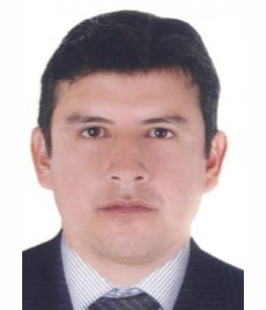 FRANZ DOLMOS CAMPOS