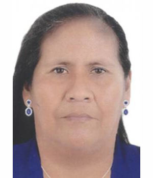 GLADIS AMERICA JARA MADERA