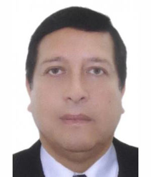 GUIDO PALOMINO HERNANDEZ