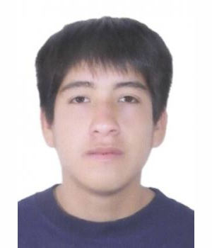 JOEL MOISES MORALES CABALLERO