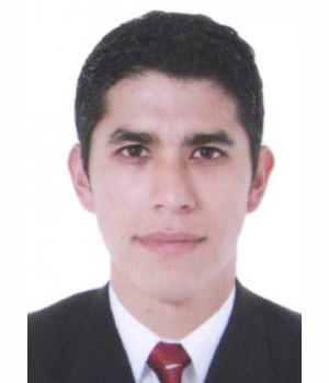 JUAN ALEJANDRO PALMA AURAZO