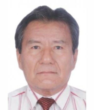 JULIO CESAR REATEGUI VELA