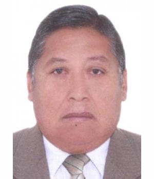 JULIO CESAR TINCOPA ALFARO