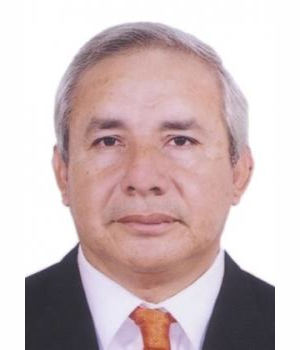LUIS ALBERTO DENEGRI CORDOVA