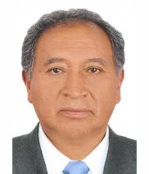 LUIS ANTONIO ALVAREZ SALCEDO