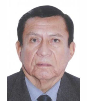 LUIS ENRIQUE GONZALEZ CASTILLO