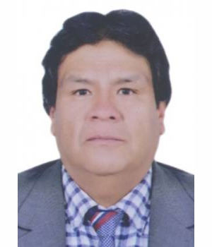 LUIS ENRIQUE GOYTIZOLO RIOS