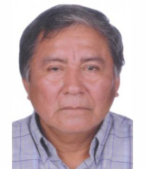 LUIS ERNESTO BOLIVAR DIAZ