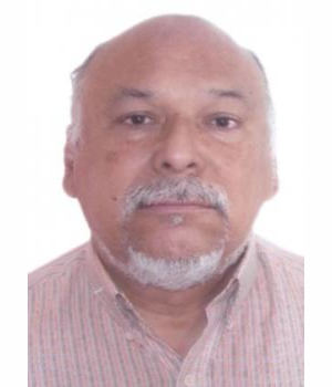 LUIS FELIPE DE LA MATA MARTINEZ
