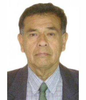 LUIS ORLANDO UCEDA MAGALLANES