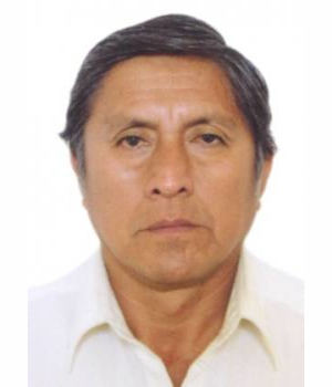 LUIS PEDRO PORTILLA Y TORRES