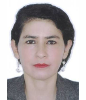 MARIA MERCEDES SILVA DONAYRE