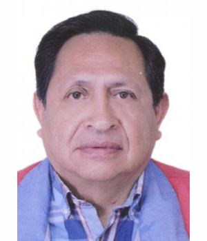 MARIO ENCARNACION LOPEZ SALDAÑA