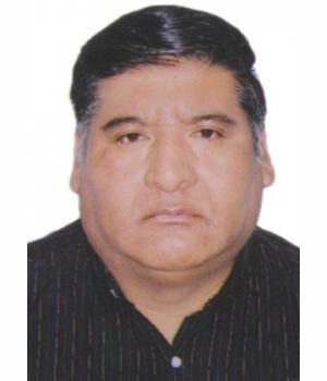 MARIO MARTIN MELENDEZ CONDORI	